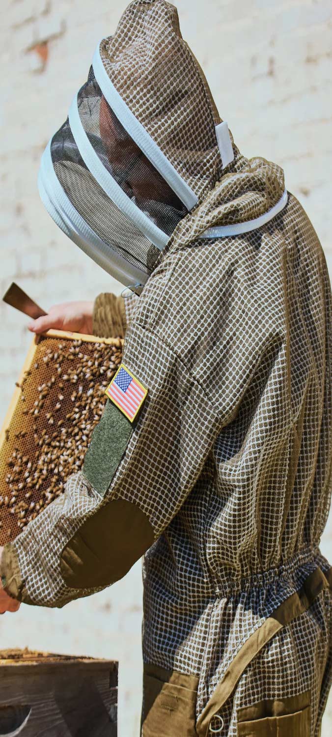 A person wearing a beekeeping suit with a mesh face veil and protective jacket, holding a honeycomb frame covered with bees in front of a light brick wall.
