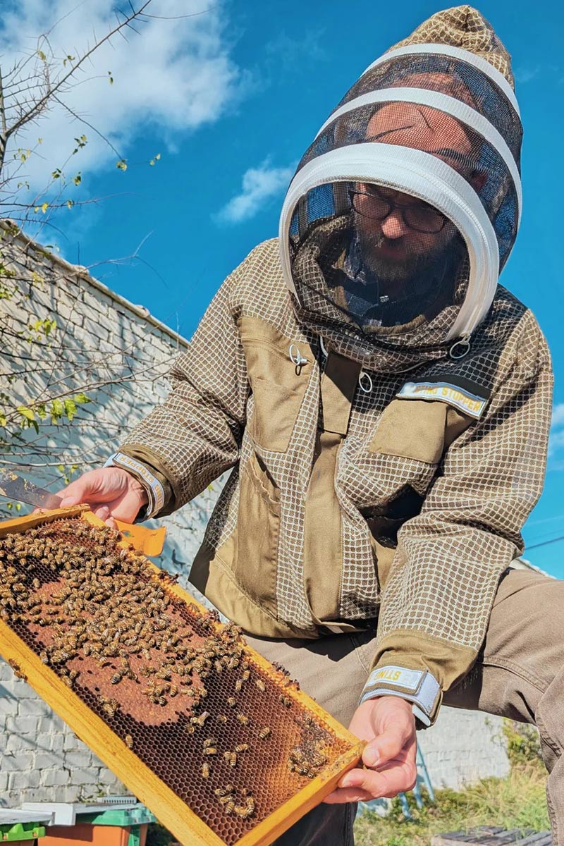 A person wearing a beekeeping veil jacket and holding a honeycomb frame covered with bees outdoors under a blue sky.