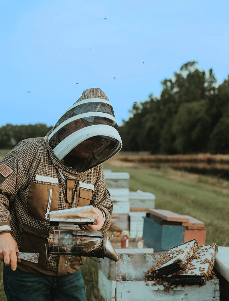 A person wearing a full beekeeping suit with a mesh face shield tends to beehives in an outdoor apiary, with bees visible and trees in the background.